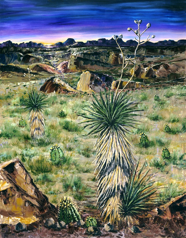 Chihuahuan Desert Dreams by Virginia Maria
Romero